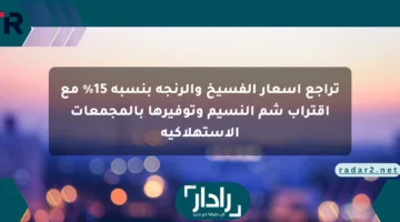 تراجع أسعار الفسيخ والرنجة بنسبة 15% مع اقتراب شم النسيم وتوفيرها بالمجمعات الاستهلاكية
